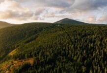 Przewodnik po Karkonoszach: Najlepsze Trasy Turystyczne dla Aktywnych karkonosze